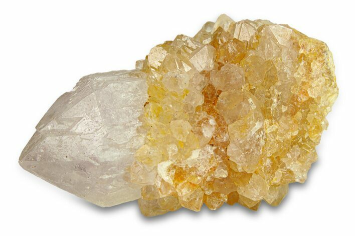 Sparkling Cactus Amethyst Crystal Cluster - South Africa #290234